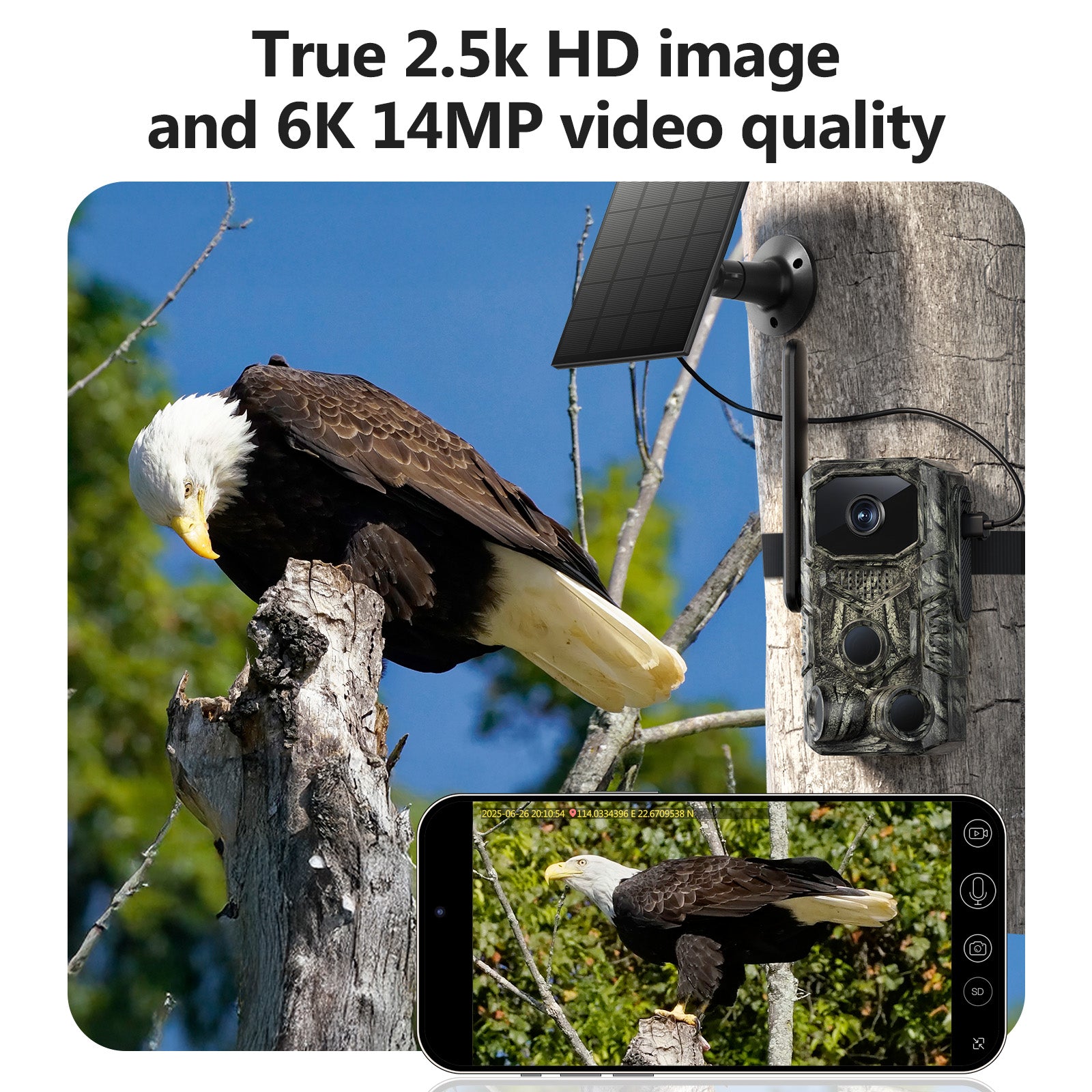 4G GPS Hunting Trail Camera Solar Wildlife Monitoring